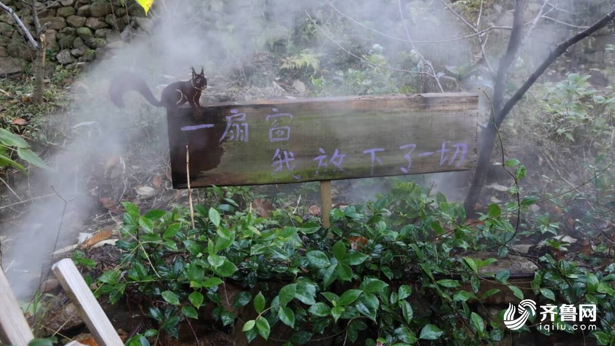 莲|一杯咖啡漫品山野时光开元棋牌向新逐绿 锦绣五(图3) 莲|一杯咖啡漫品山野时光开元棋牌向新逐绿 锦绣五(图3)